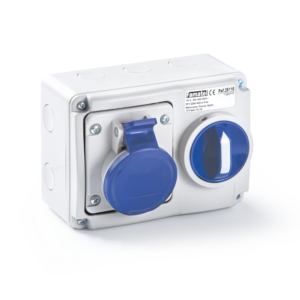 Ref 25116 SWITCHED INTERLOCKED HORIZONTAL WALL MOUNTED SOCKETS